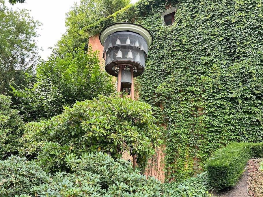 Fewos Anno 1529 In Top-Altstadtlage Von Zittau Kültér fotó