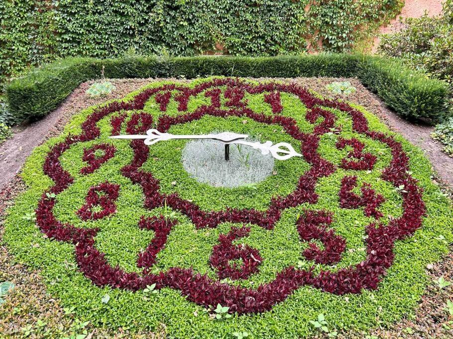 Fewos Anno 1529 In Top-Altstadtlage Von Zittau Kültér fotó